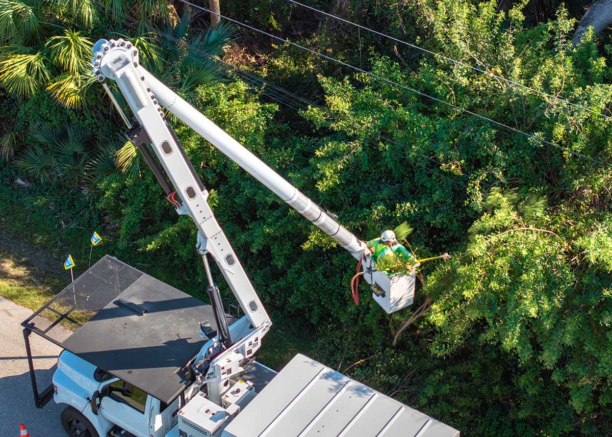 Electricity outage prevention. Worker trimming tree branches around power lines