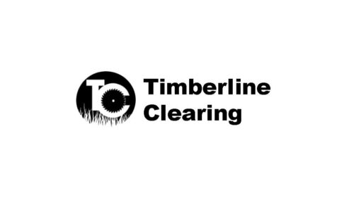 XKIG acquires Timberline Clearing