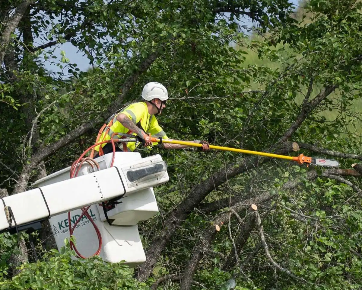 Utility Vegetation Management